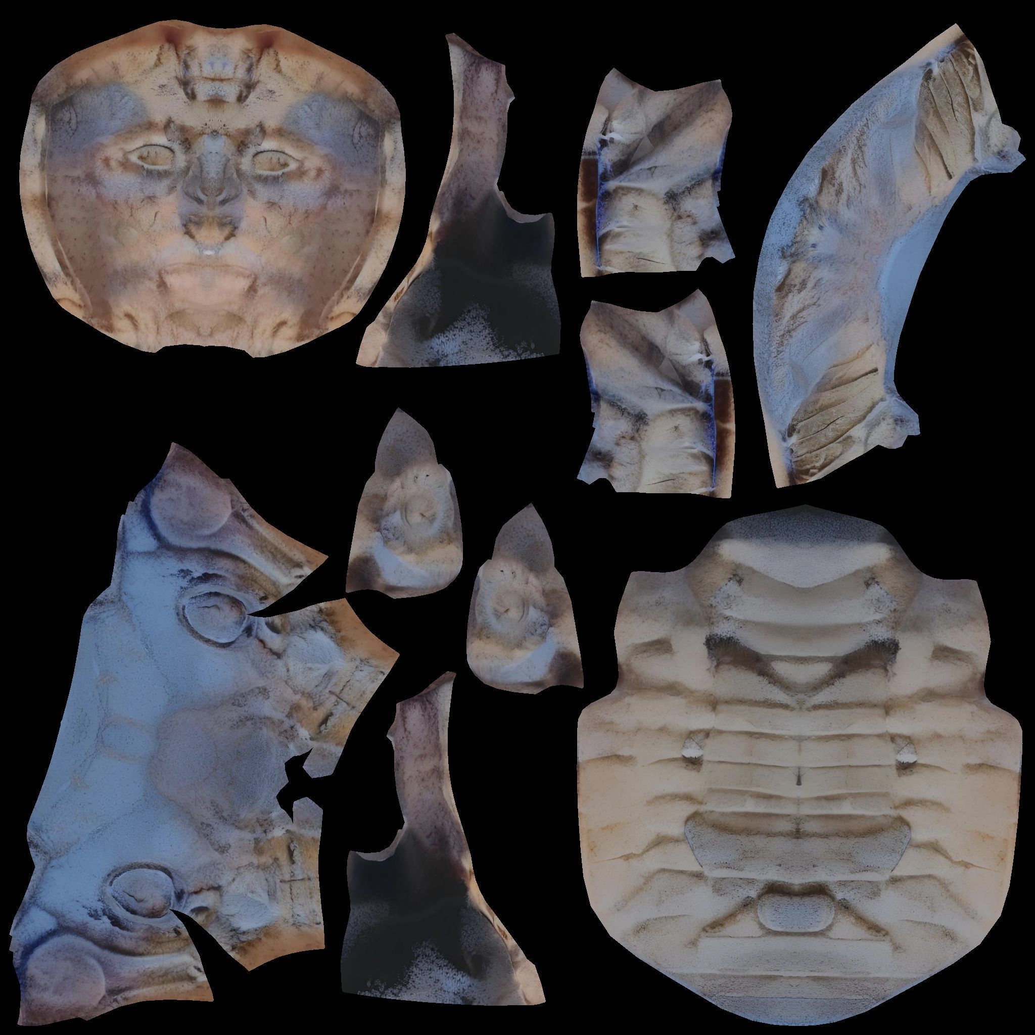 Maya sculptures Pack Low-poly 3D model_29