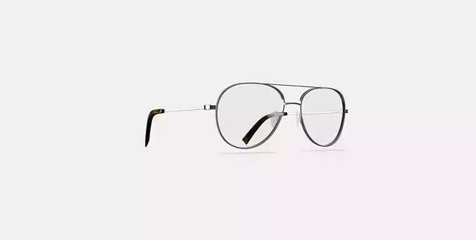 York Eyeglasses in Polished Silver