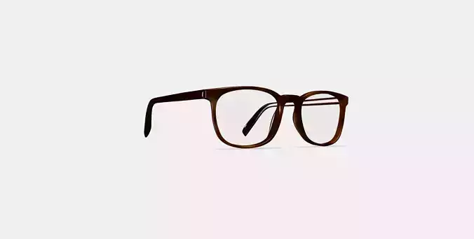 Bodie Eyeglasses in Rye Tortoise