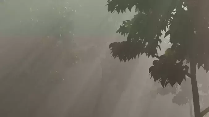 Forest Tropical 3D model
