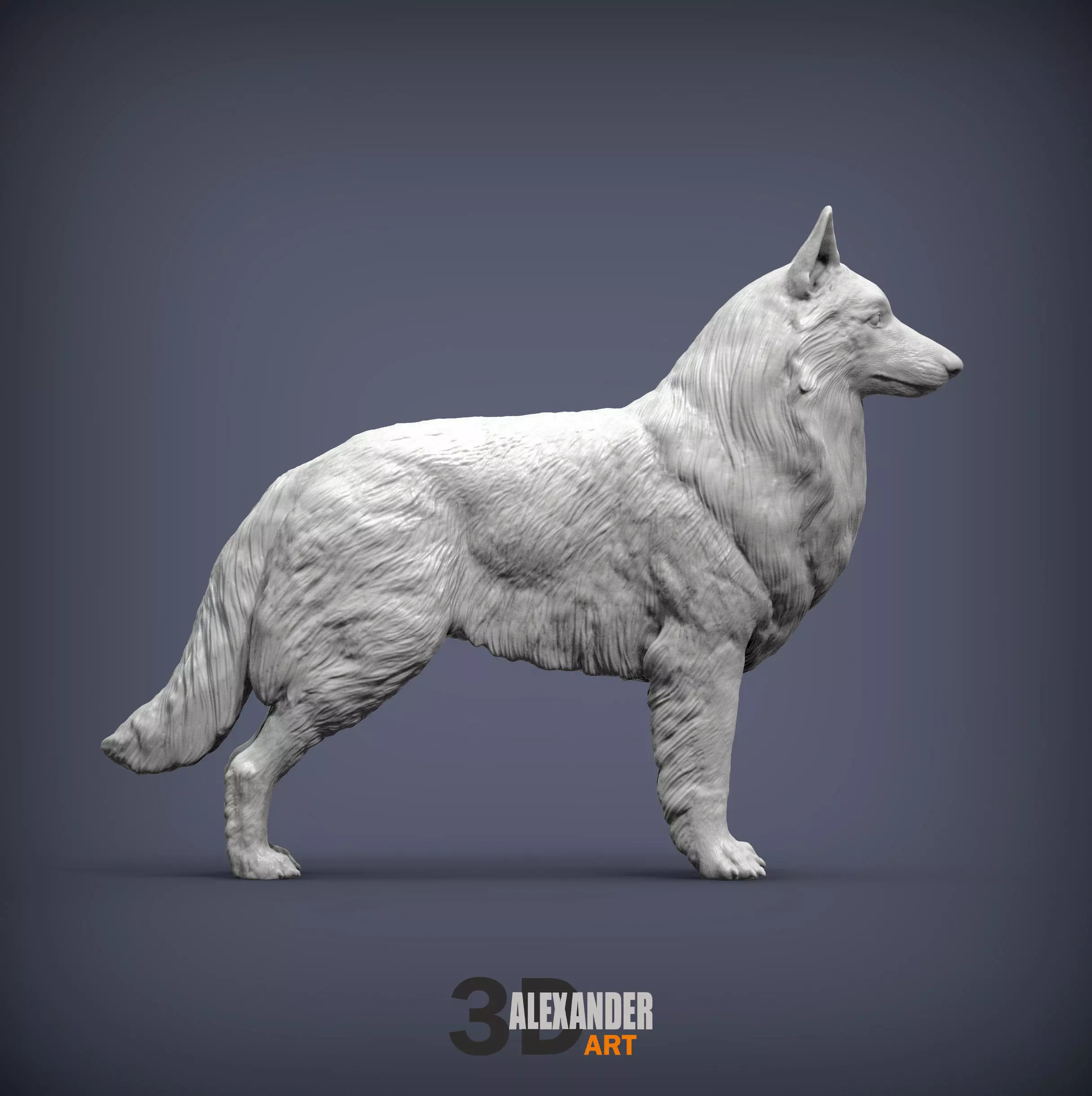 Belgian Sheepdog 3D print model