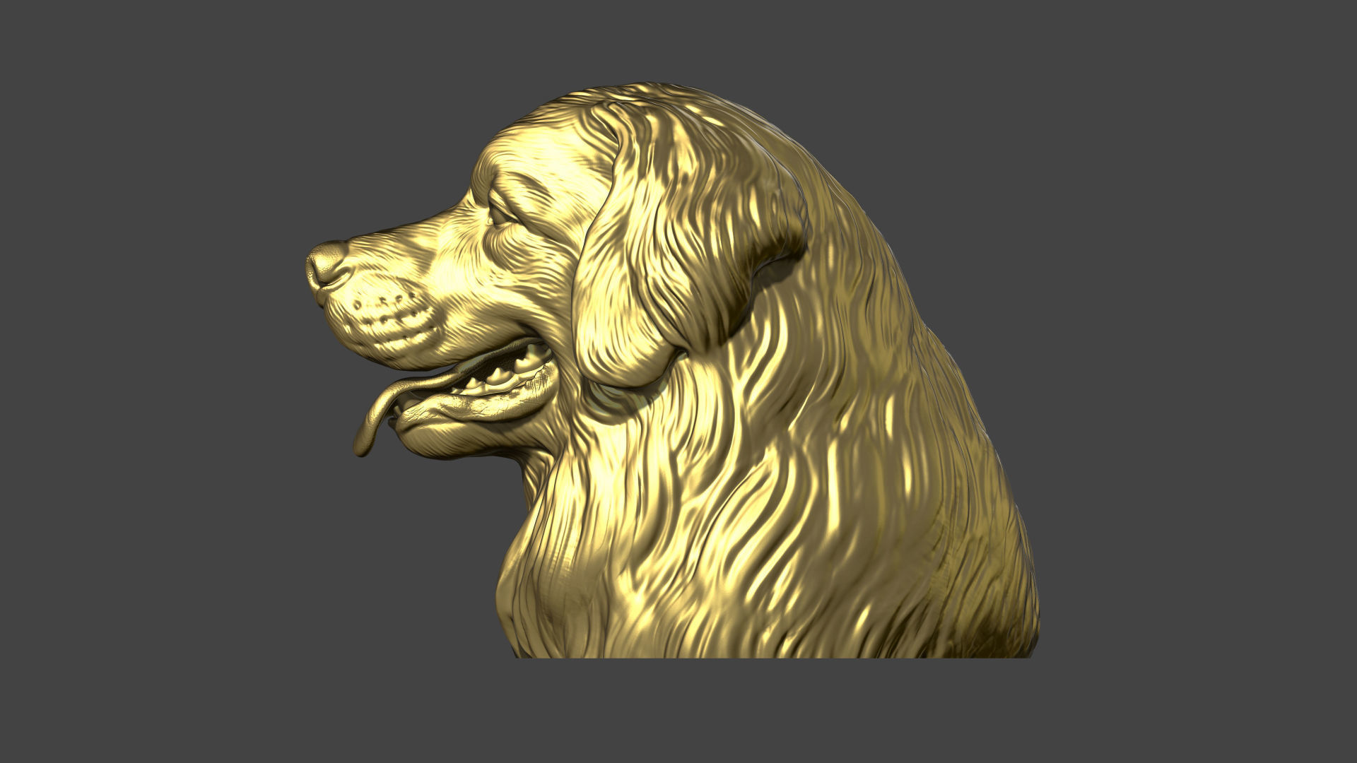 Bernese Mountain Dog 3D print model_15