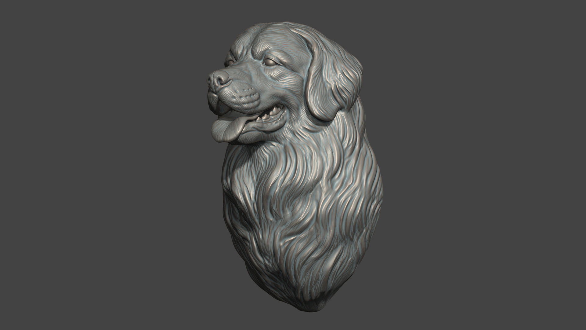 Bernese Mountain Dog 3D print model_5