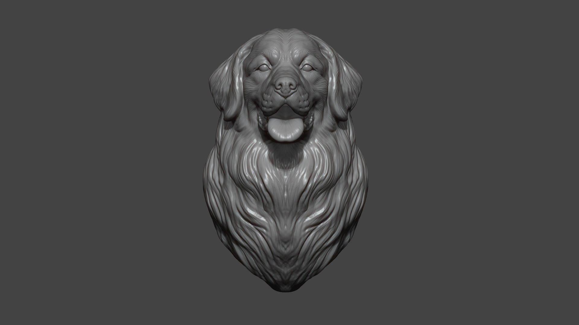 Bernese Mountain Dog 3D print model_7