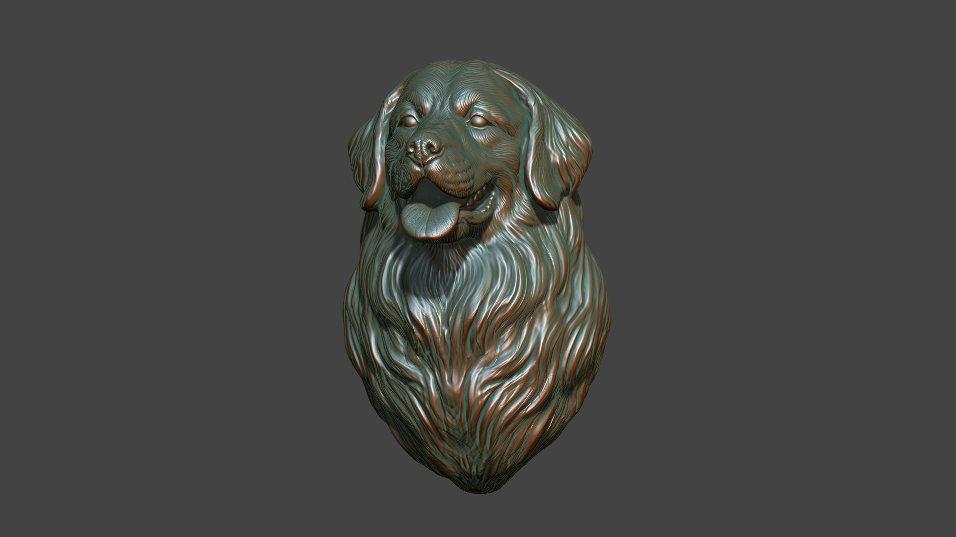 Bernese Mountain Dog 3D print model_2