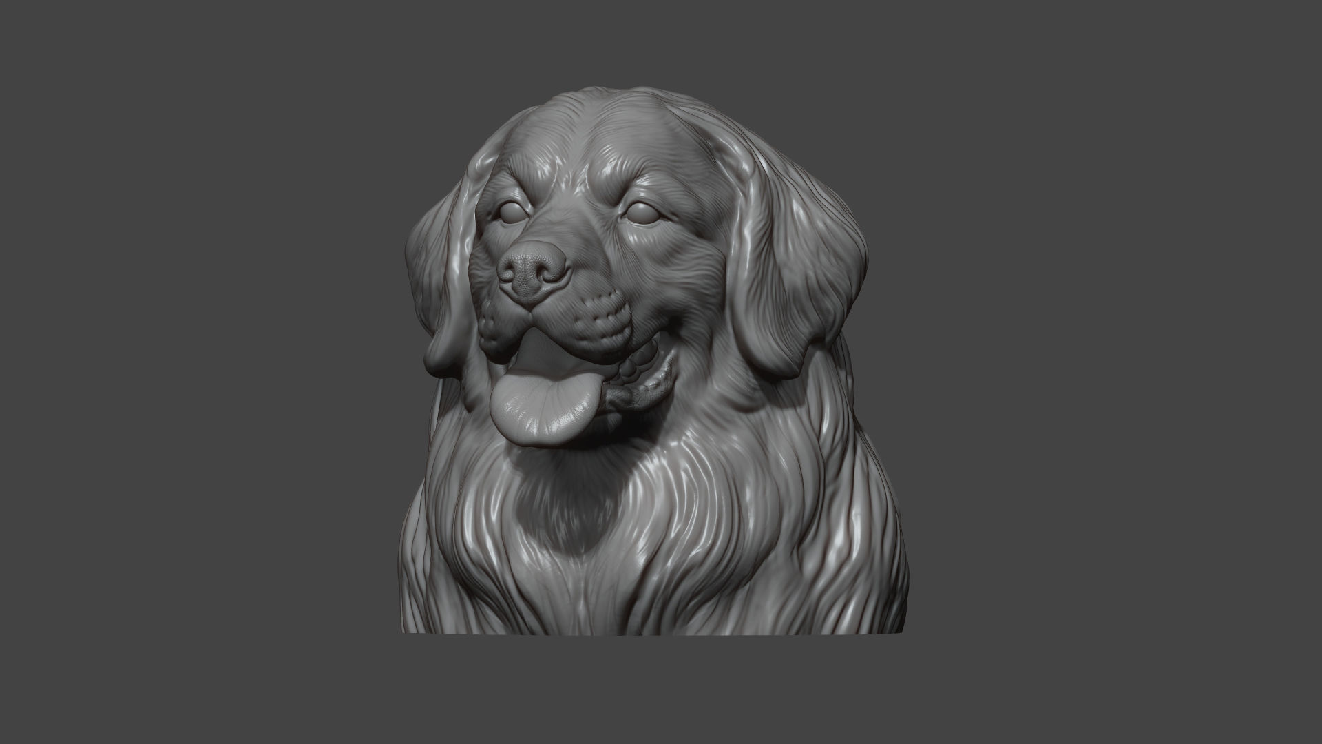Bernese Mountain Dog 3D print model_12