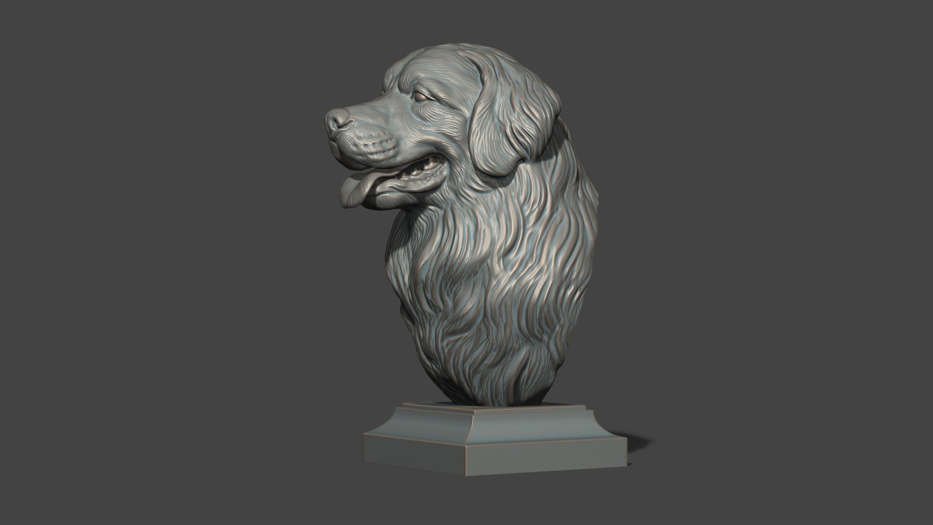 Bernese Mountain Dog 3D print model_25