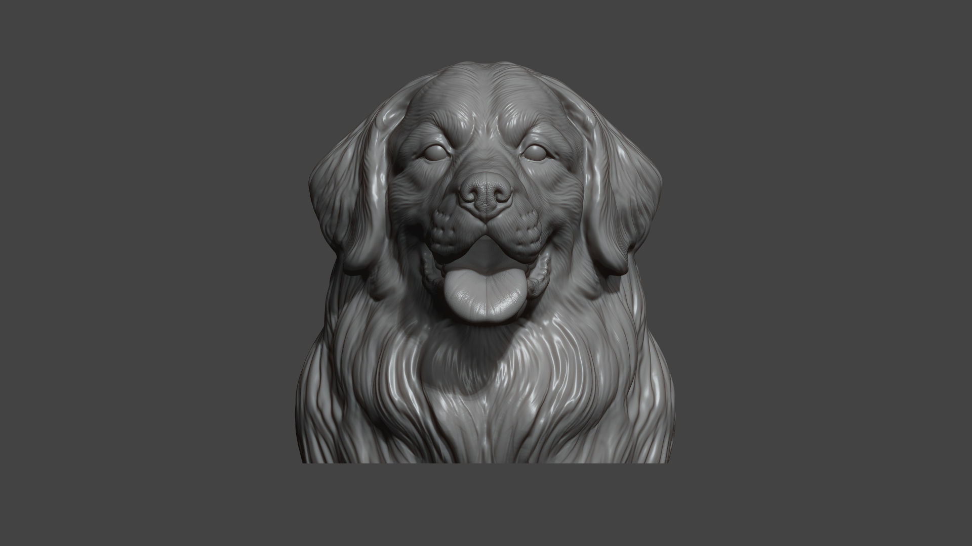 Bernese Mountain Dog 3D print model_11