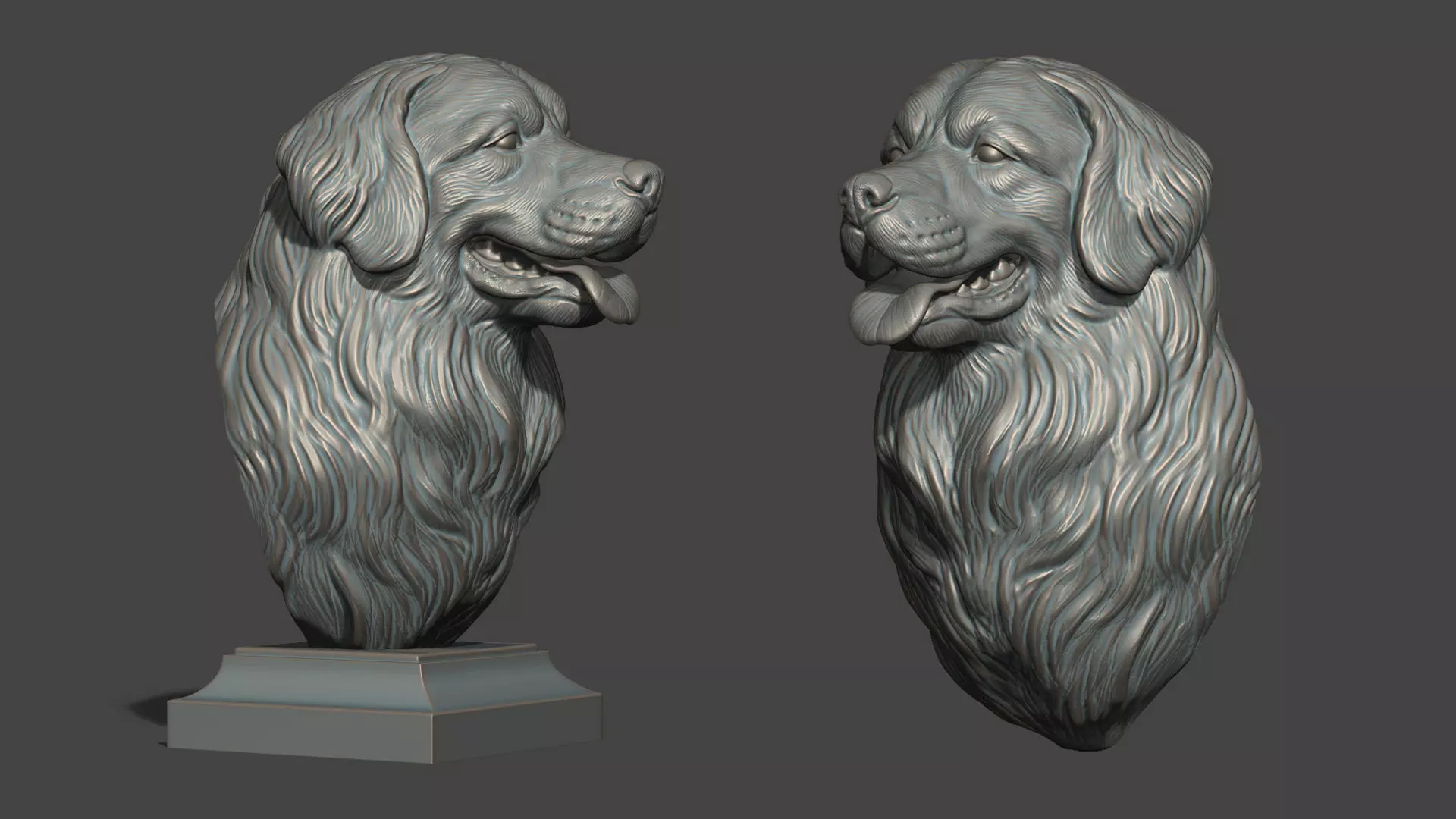 Bernese Mountain Dog 3D print model_0
