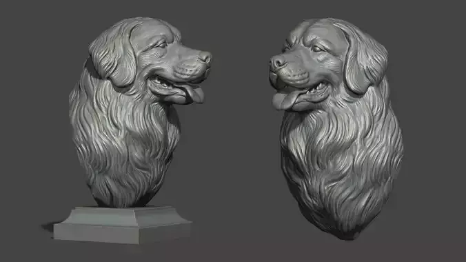 Bernese Mountain Dog 3D print model