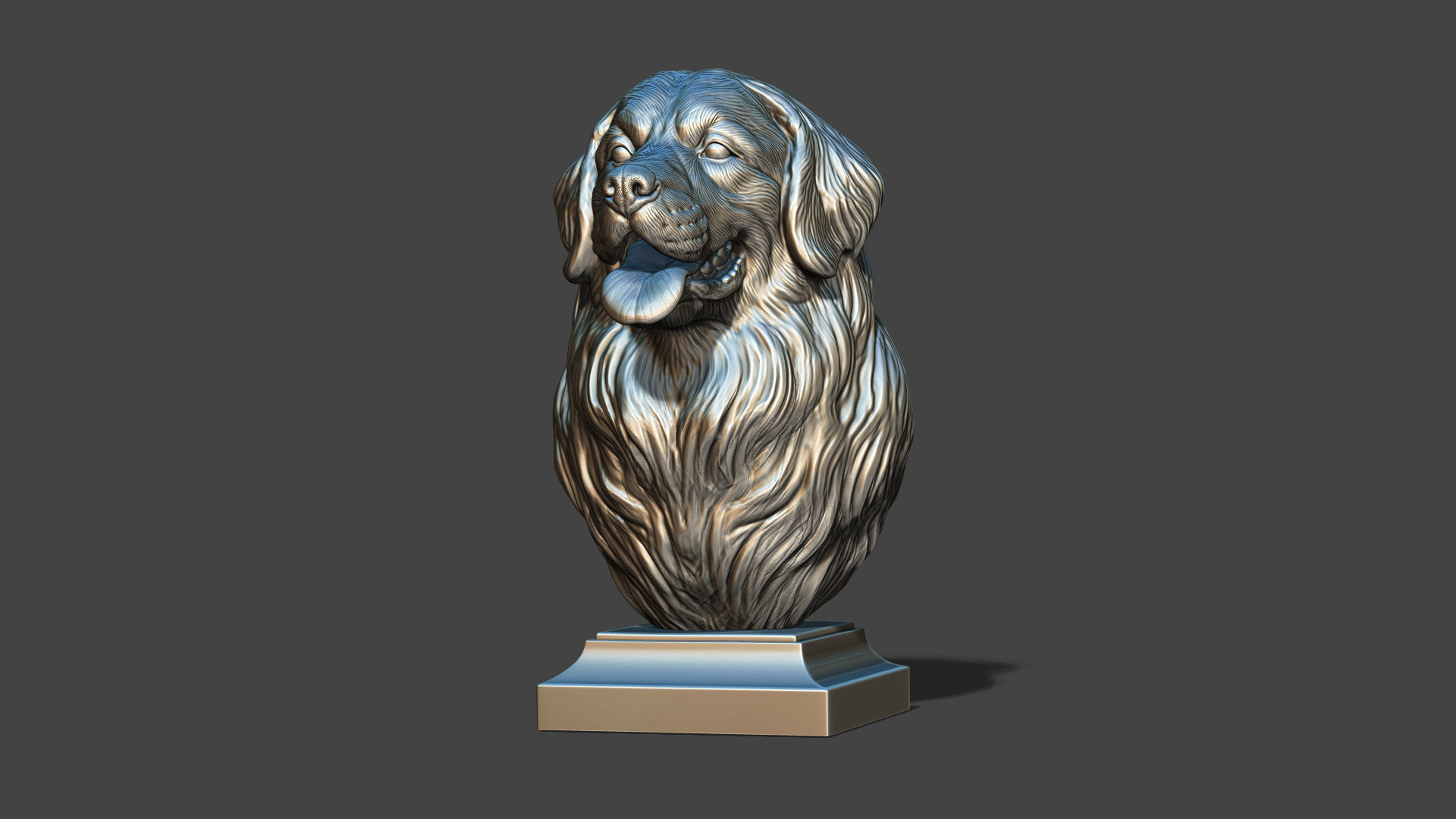 Bernese Mountain Dog 3D print model_24