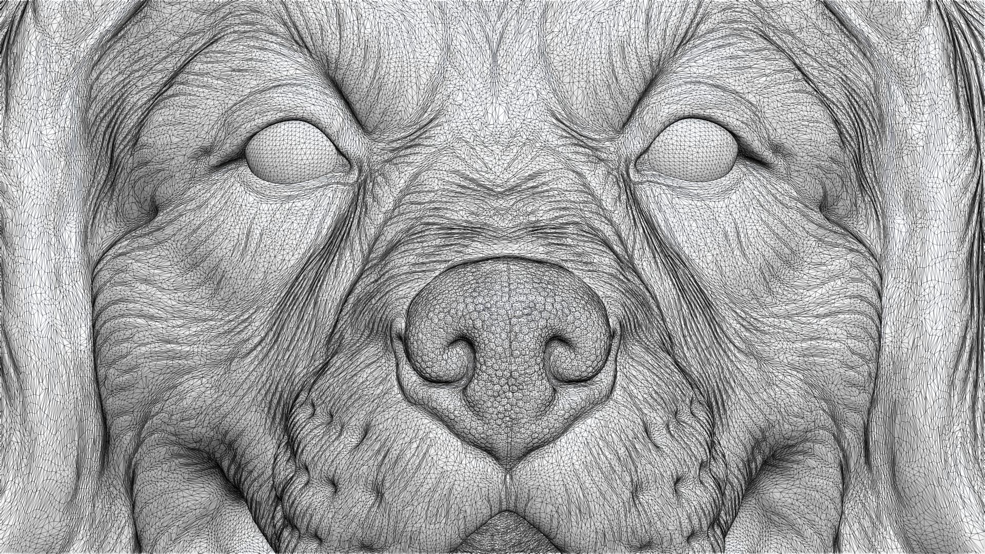 Bernese Mountain Dog 3D print model_26