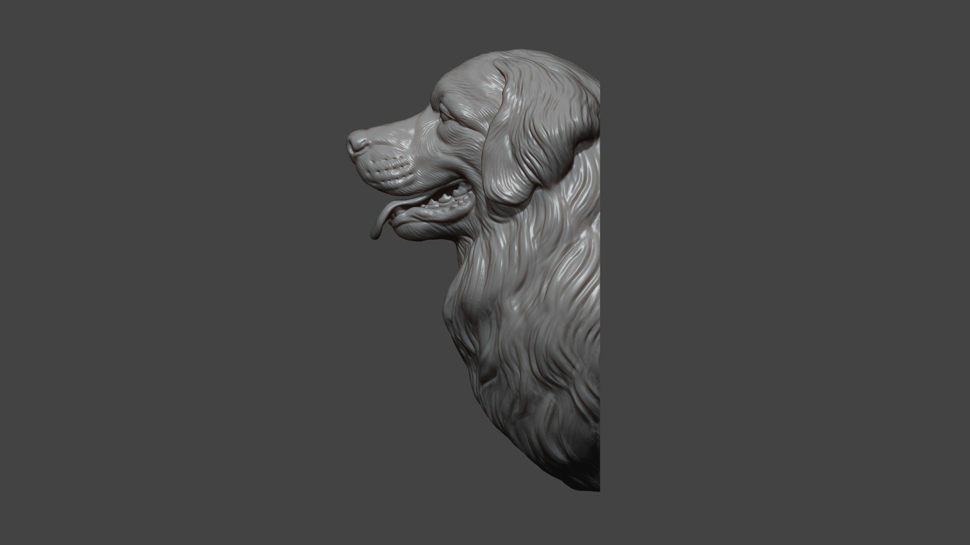 Bernese Mountain Dog 3D print model_10