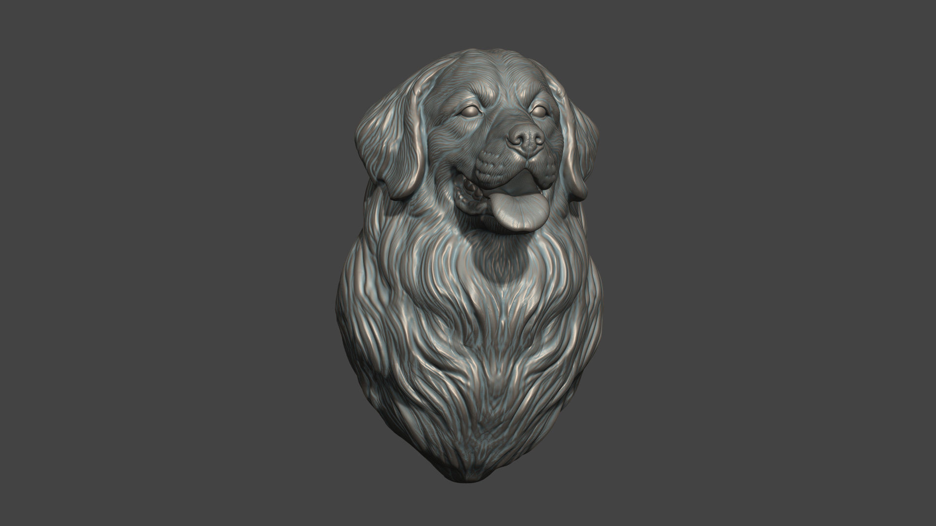 Bernese Mountain Dog 3D print model_6