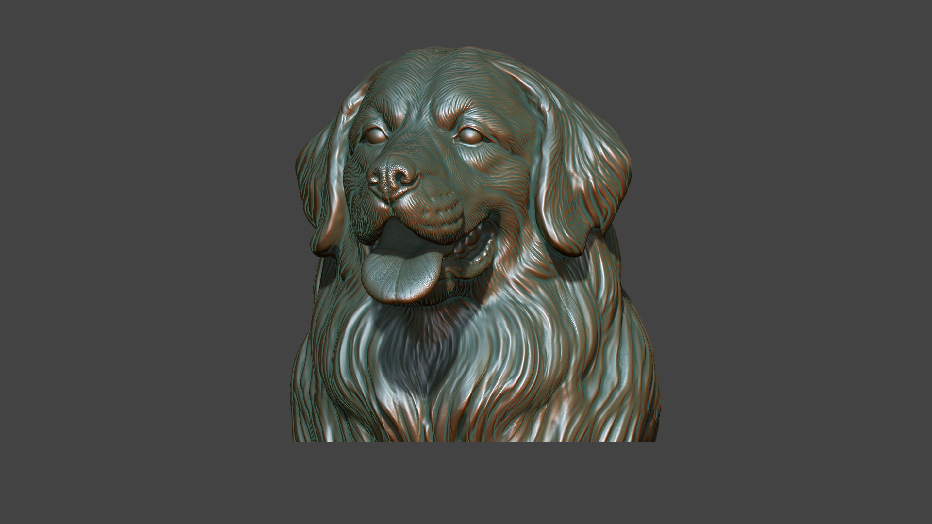 Bernese Mountain Dog 3D print model_14