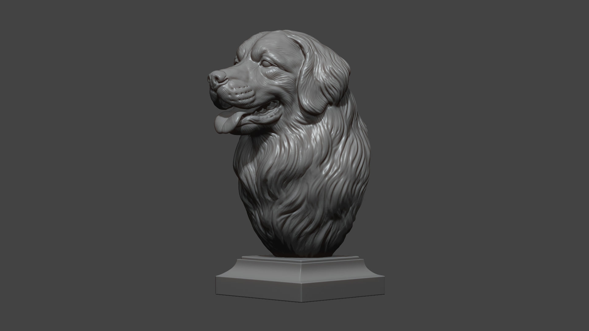 Bernese Mountain Dog 3D print model_18
