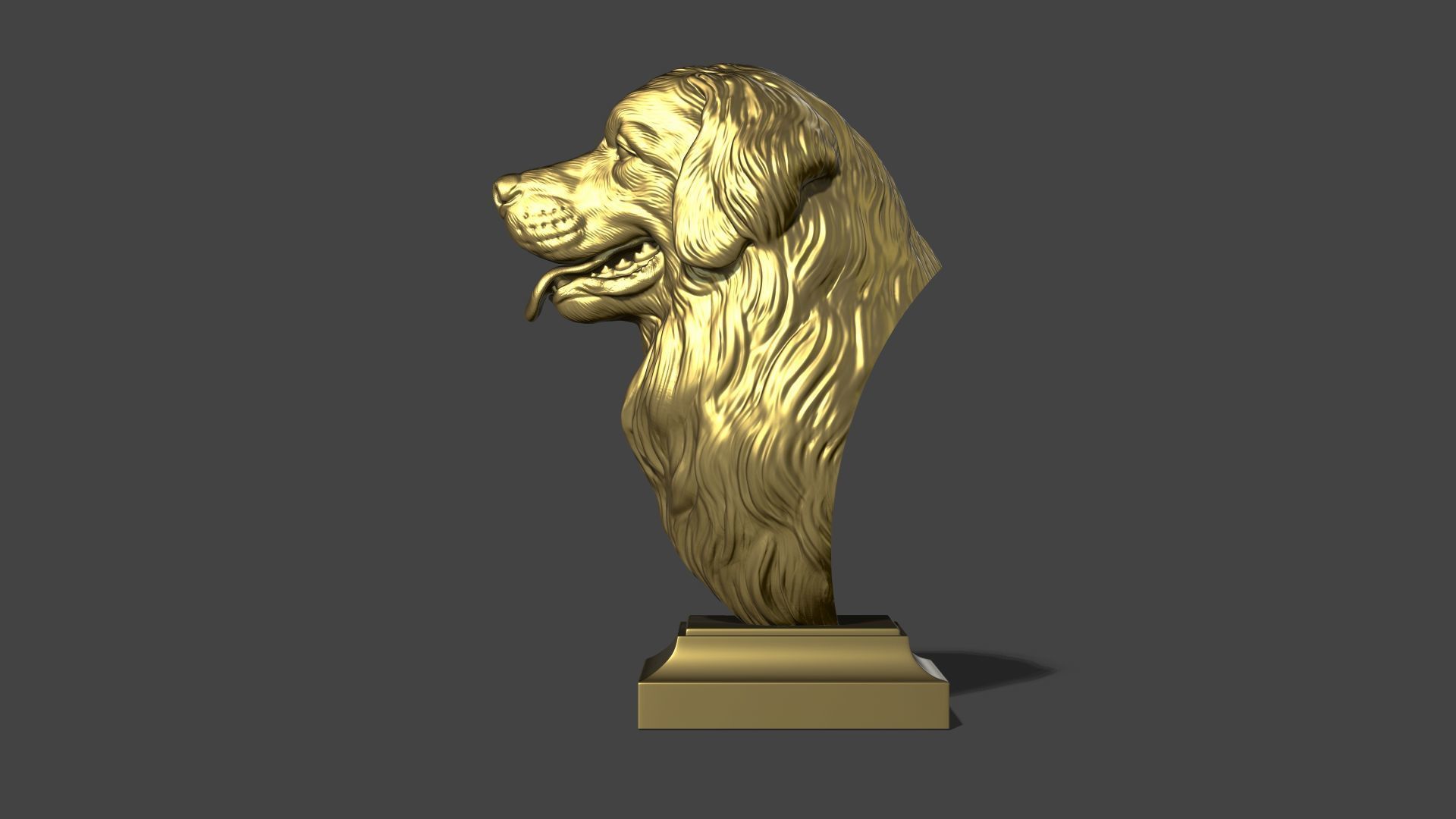 Bernese Mountain Dog 3D print model_23