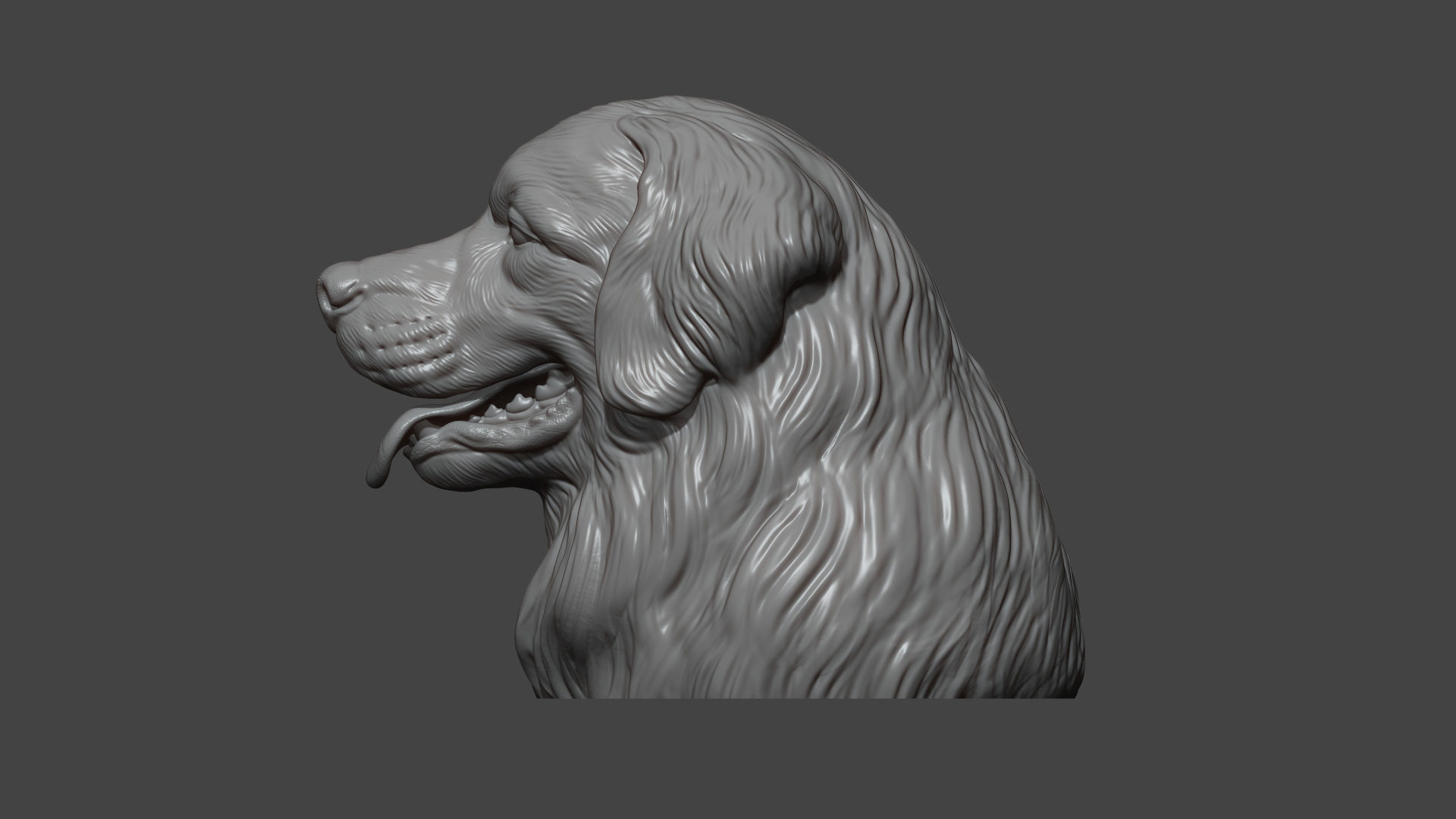 Bernese Mountain Dog 3D print model_13