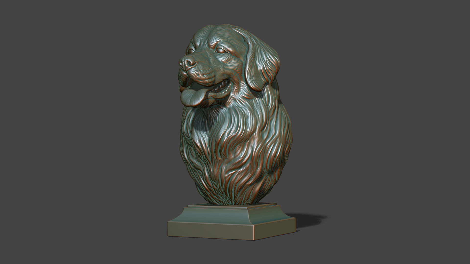 Bernese Mountain Dog 3D print model_22