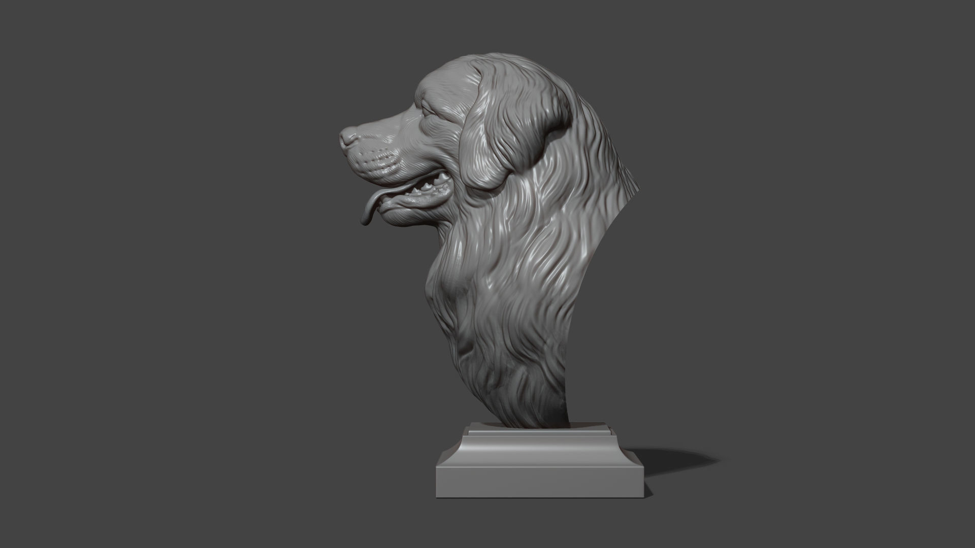 Bernese Mountain Dog 3D print model_19