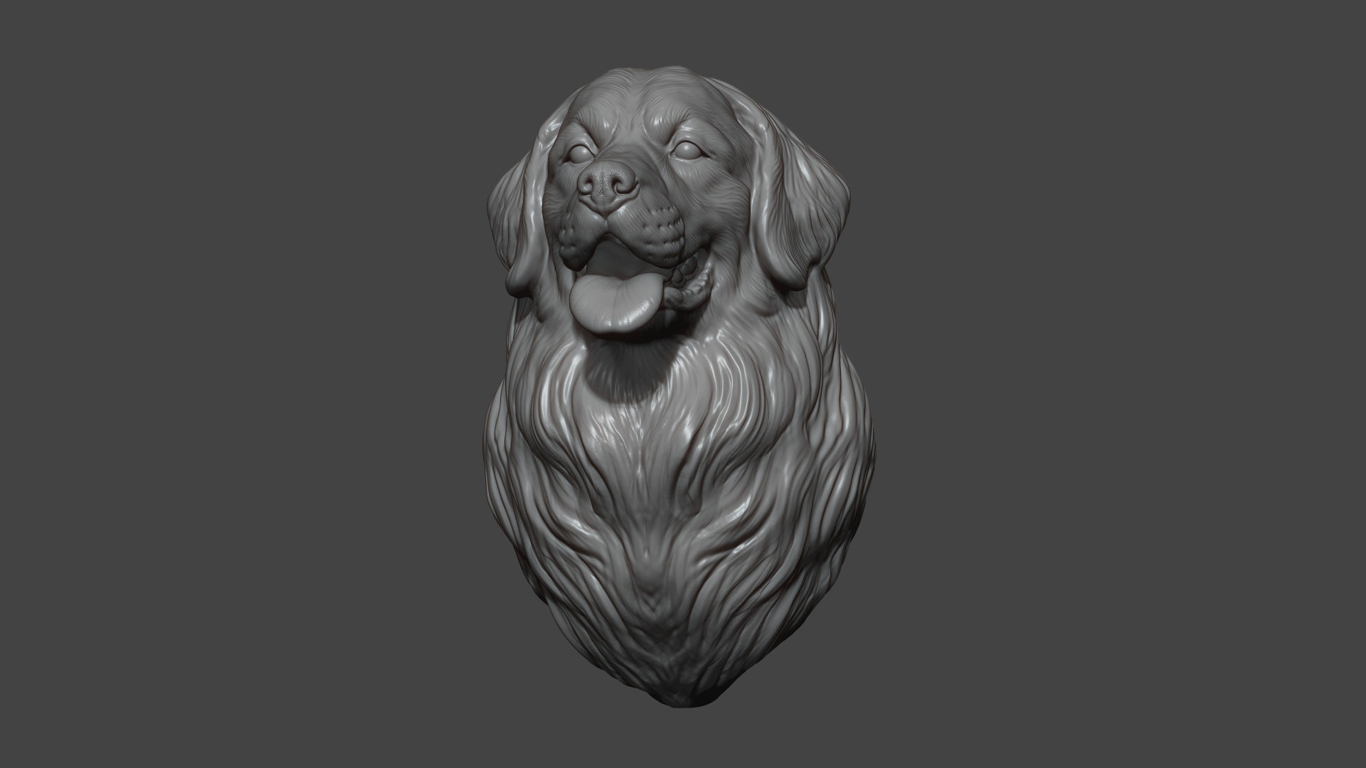 Bernese Mountain Dog 3D print model_8