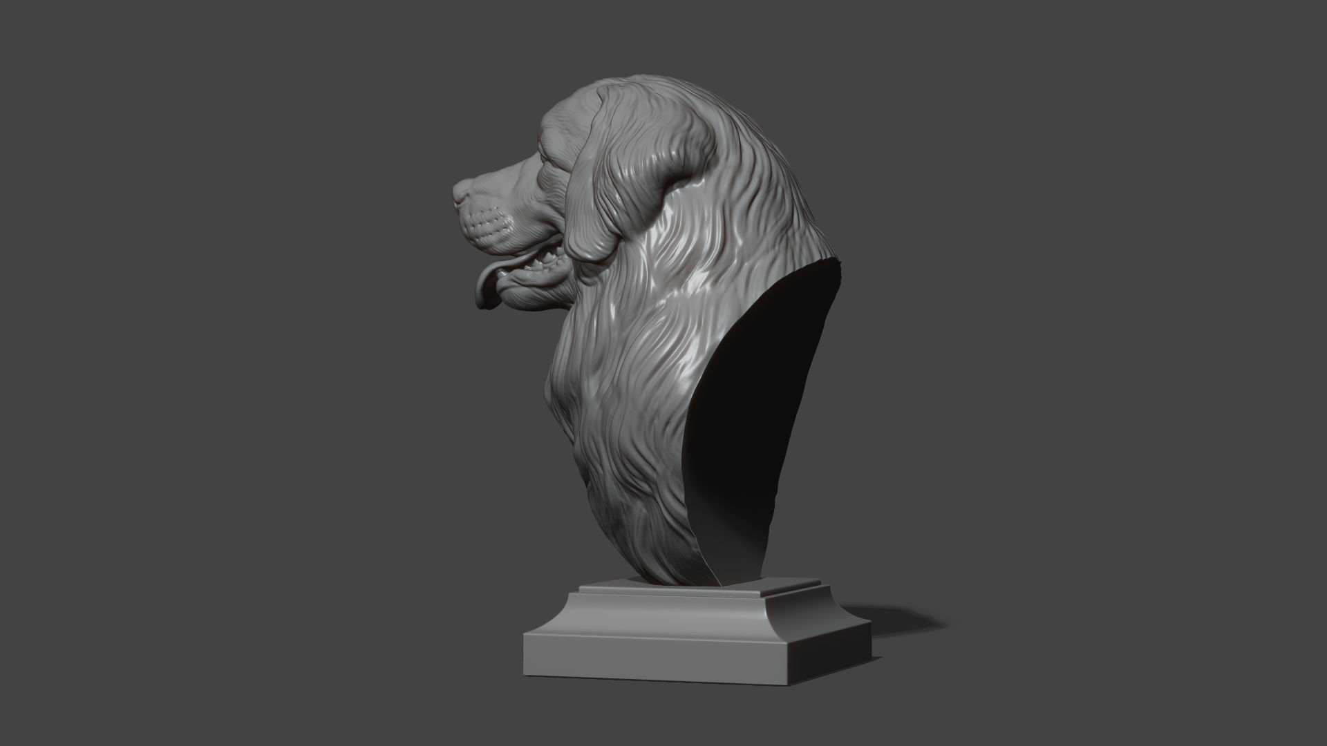 Bernese Mountain Dog 3D print model_20