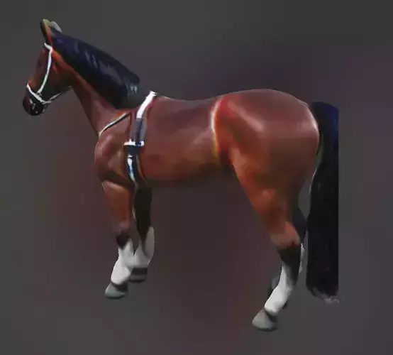 Perfectly shaped horse