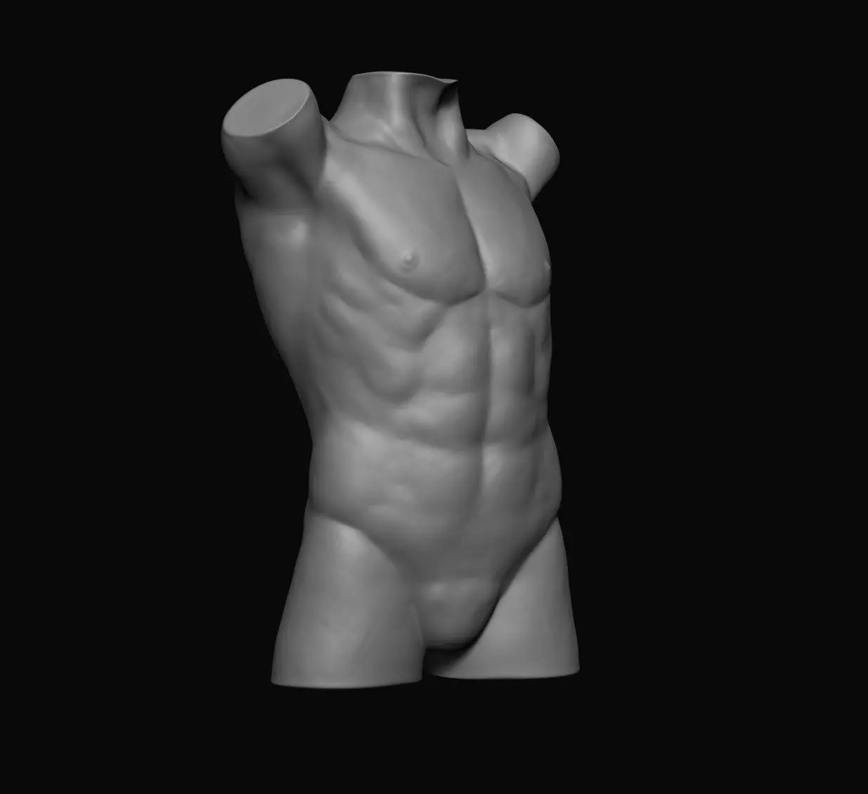 Male Torso - 3D Print 3D print model