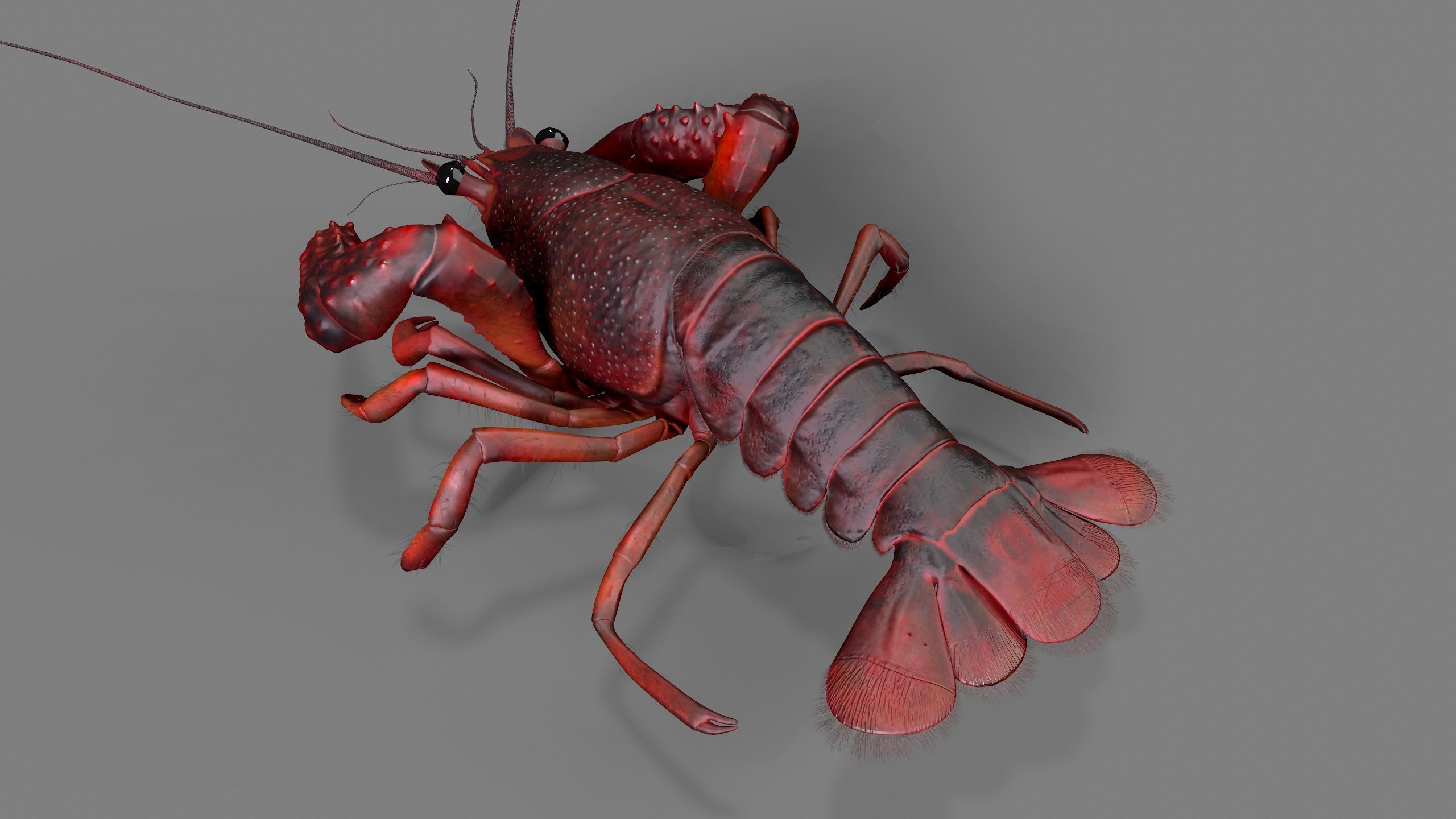 Lobster Rigged for 3Dmax Low-poly 3D model_3