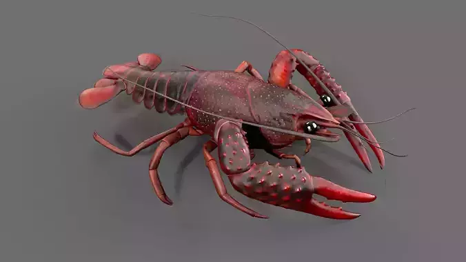 Lobster Rigged for 3Dmax Low-poly 3D model