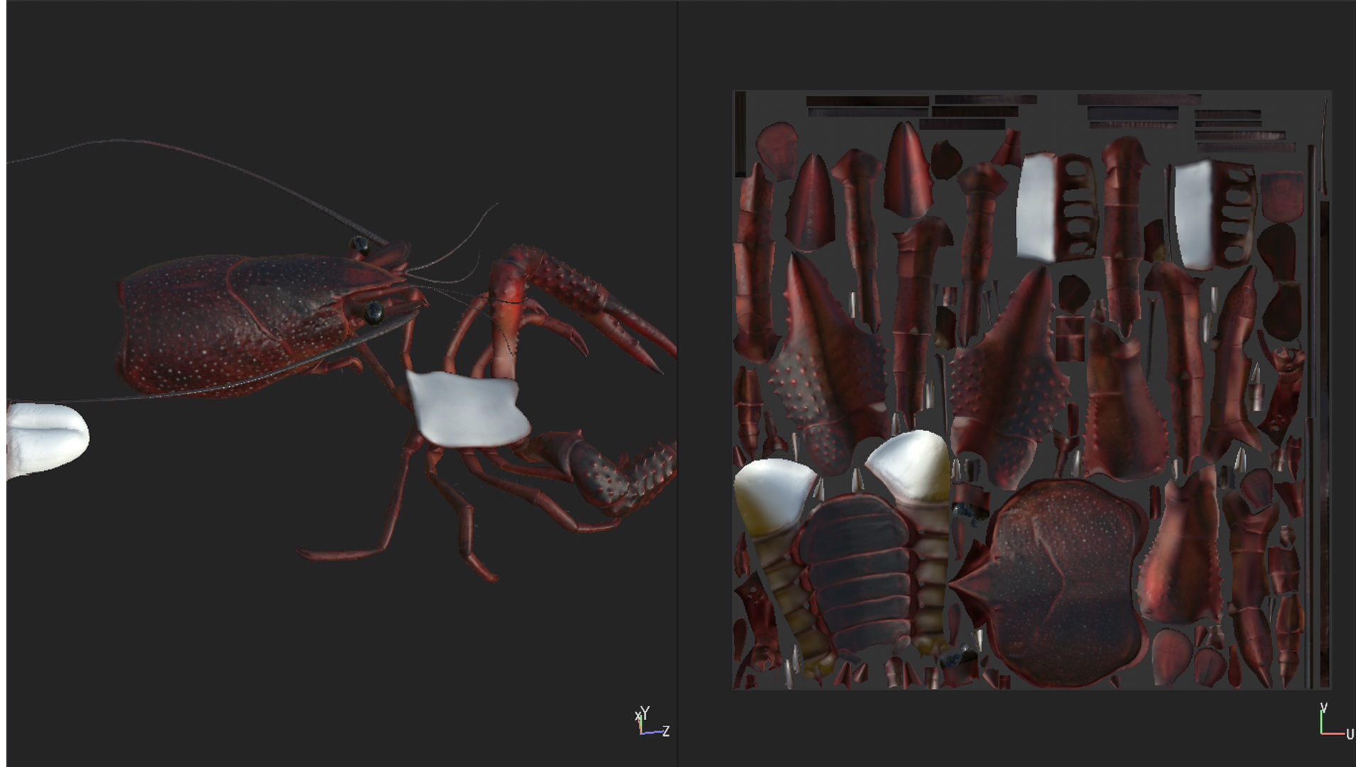 Lobster Rigged for 3Dmax Low-poly 3D model_11