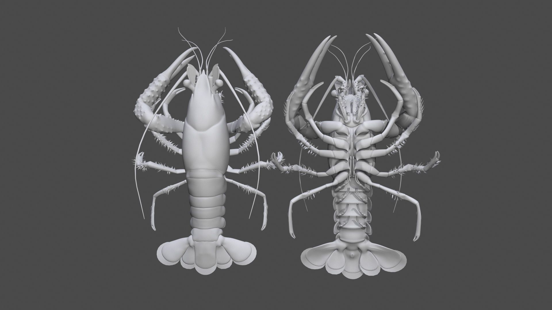Lobster Rigged for 3Dmax Low-poly 3D model_14