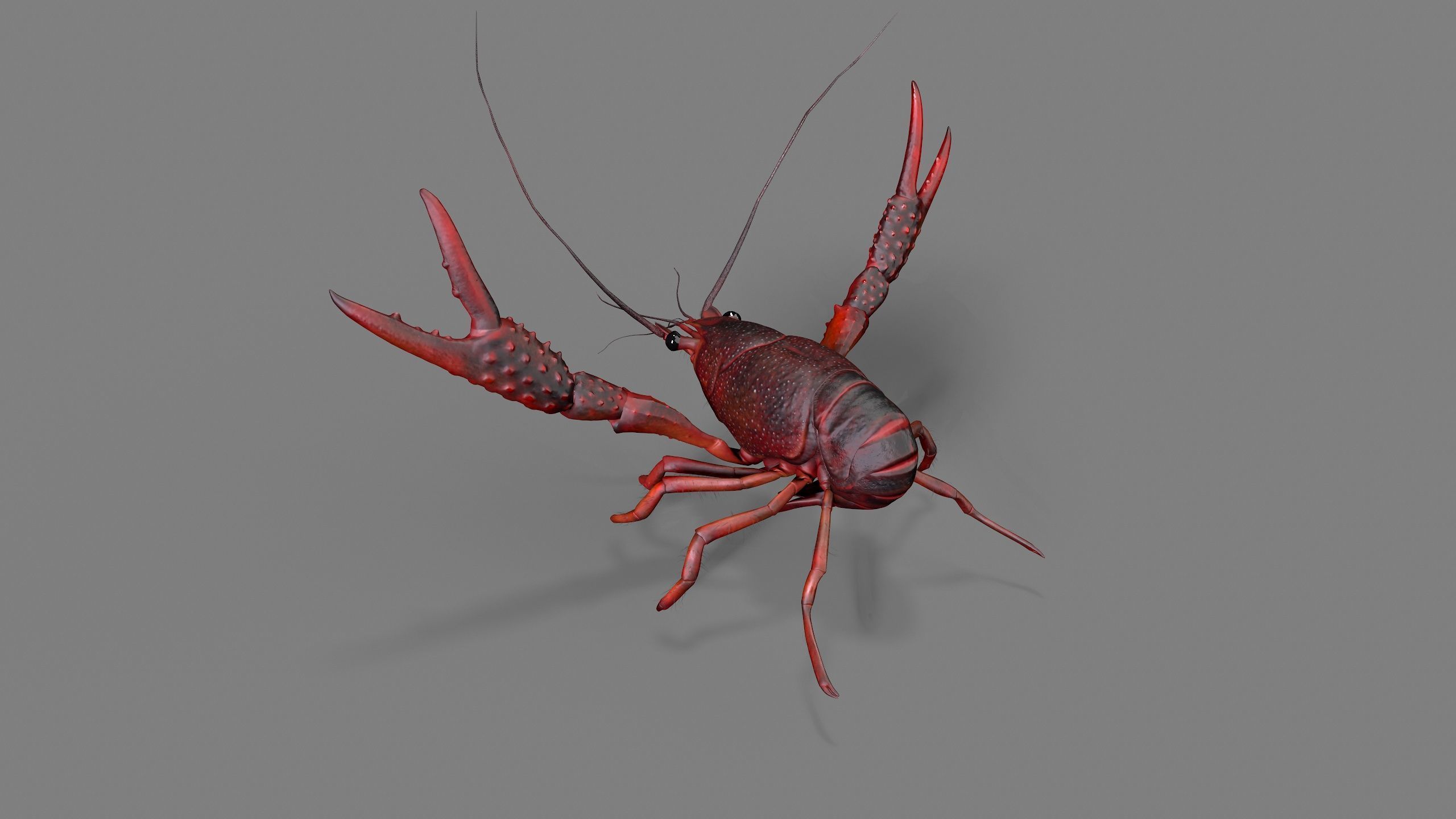 Lobster Rigged for 3Dmax Low-poly 3D model_6