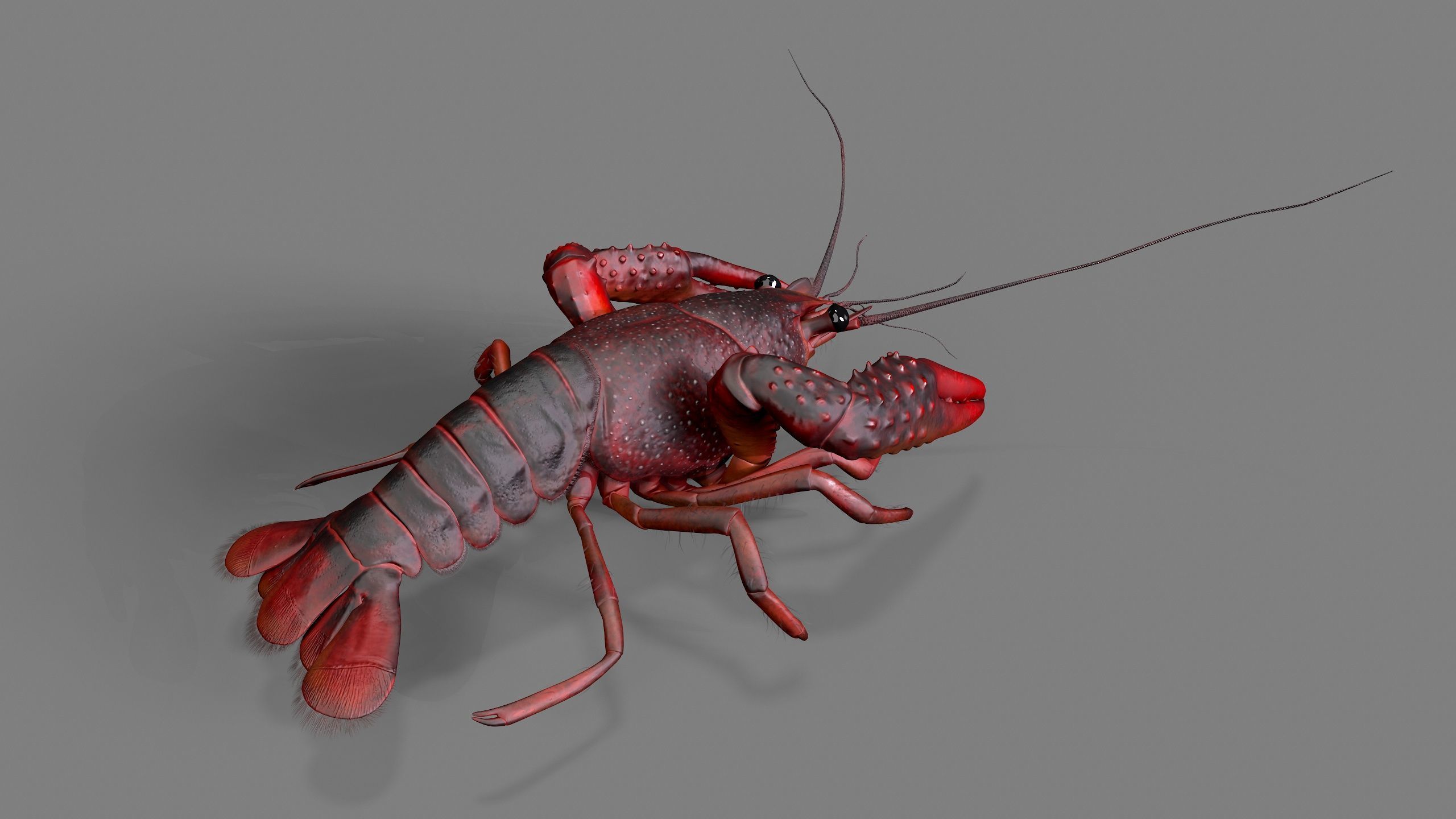 Lobster Rigged for 3Dmax Low-poly 3D model_2