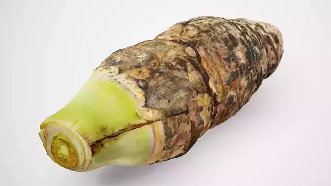 Taro Root - Photorealistic Scan Low-poly 3D model