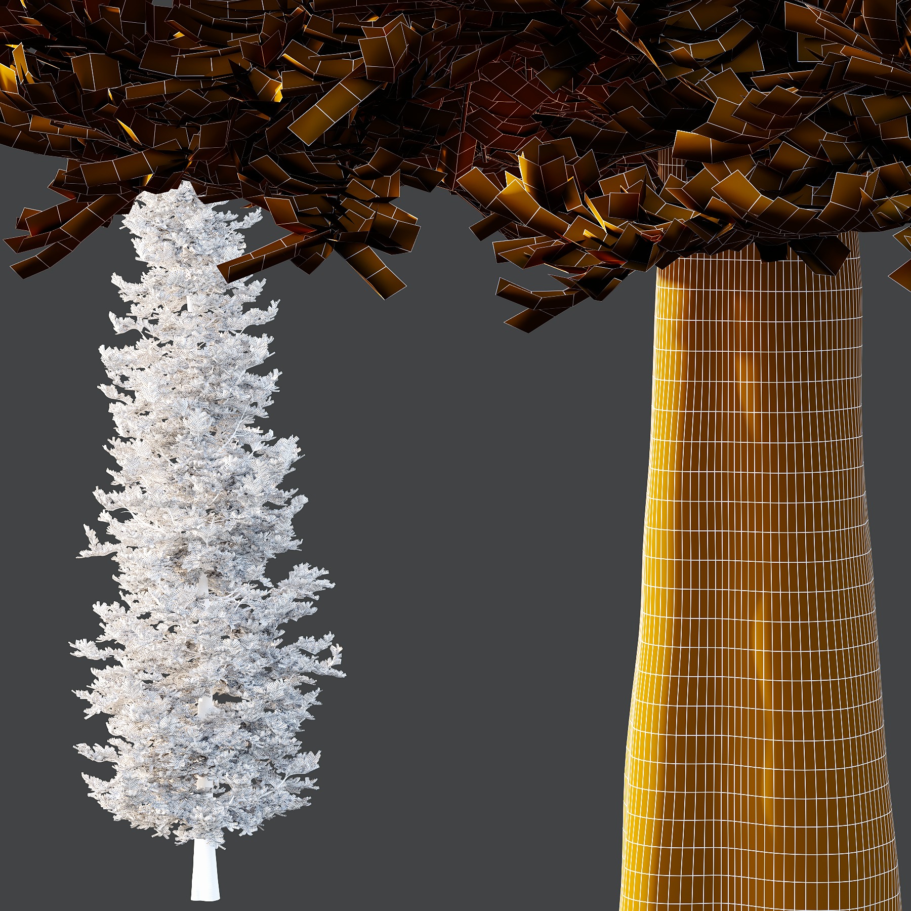spruce tree13 3D model_3