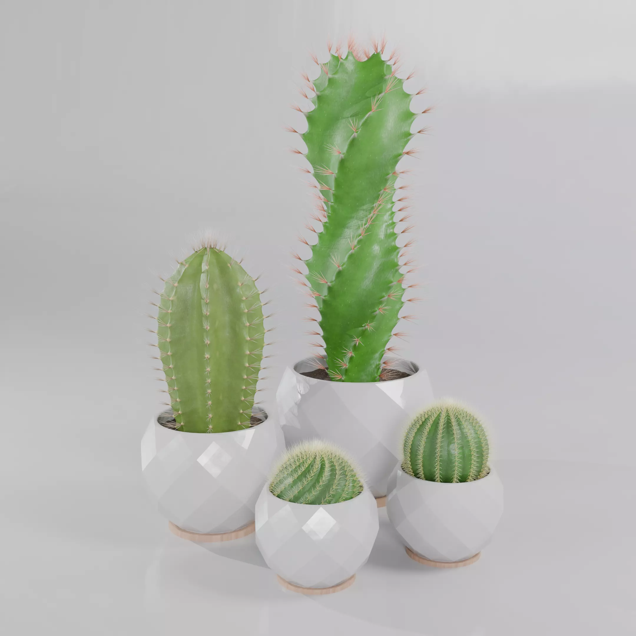 Cactus 3D model_0