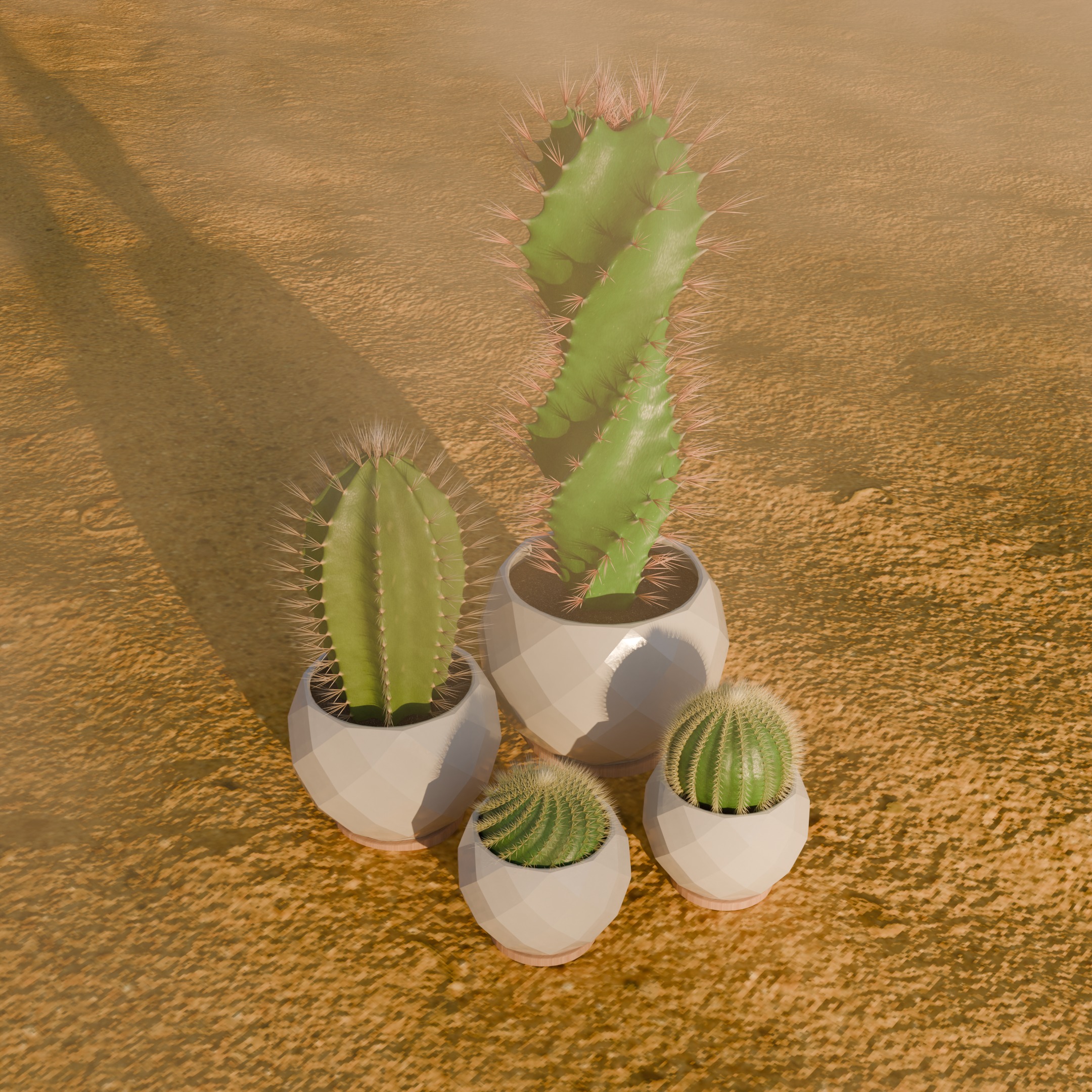 Cactus 3D model_5