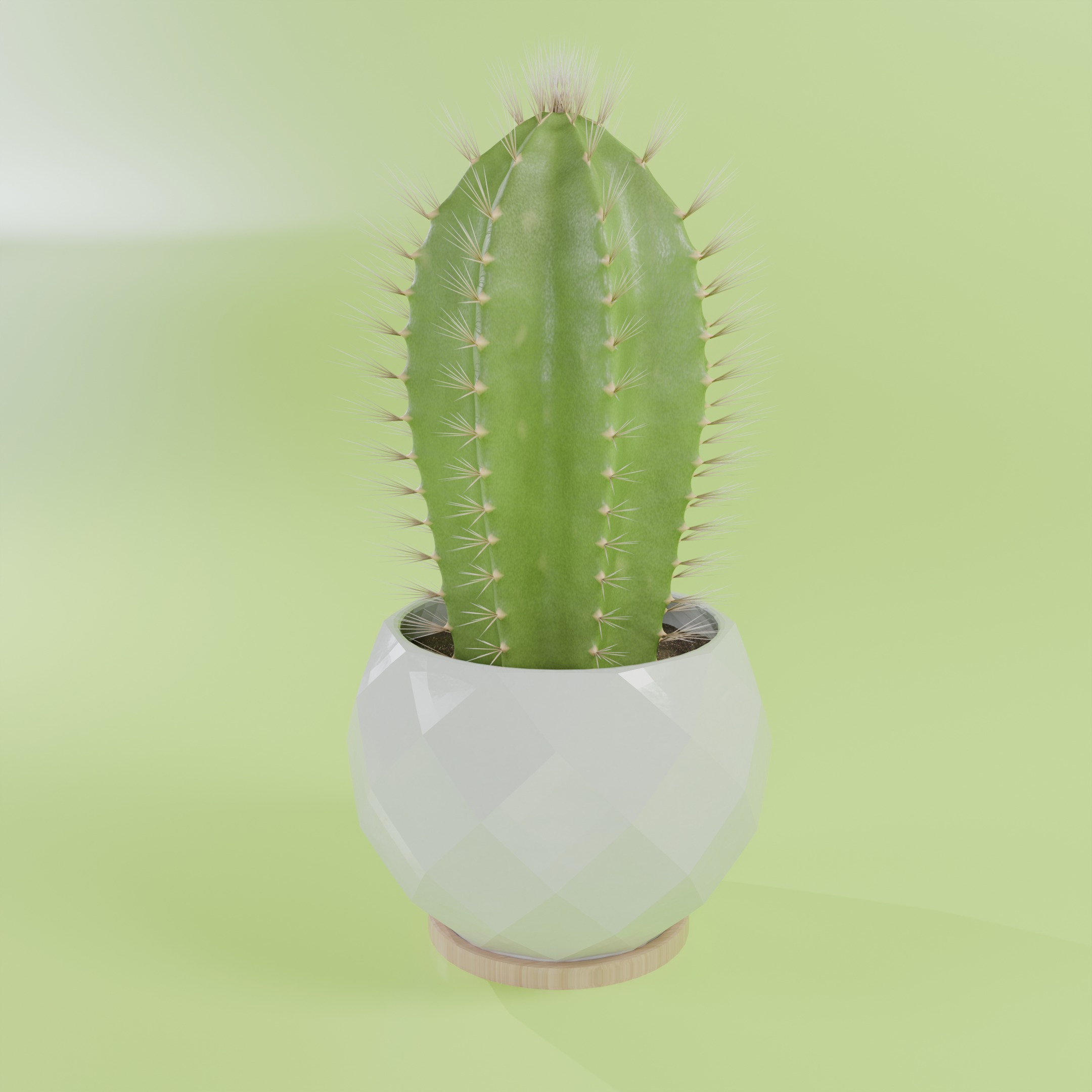 Cactus 3D model_1