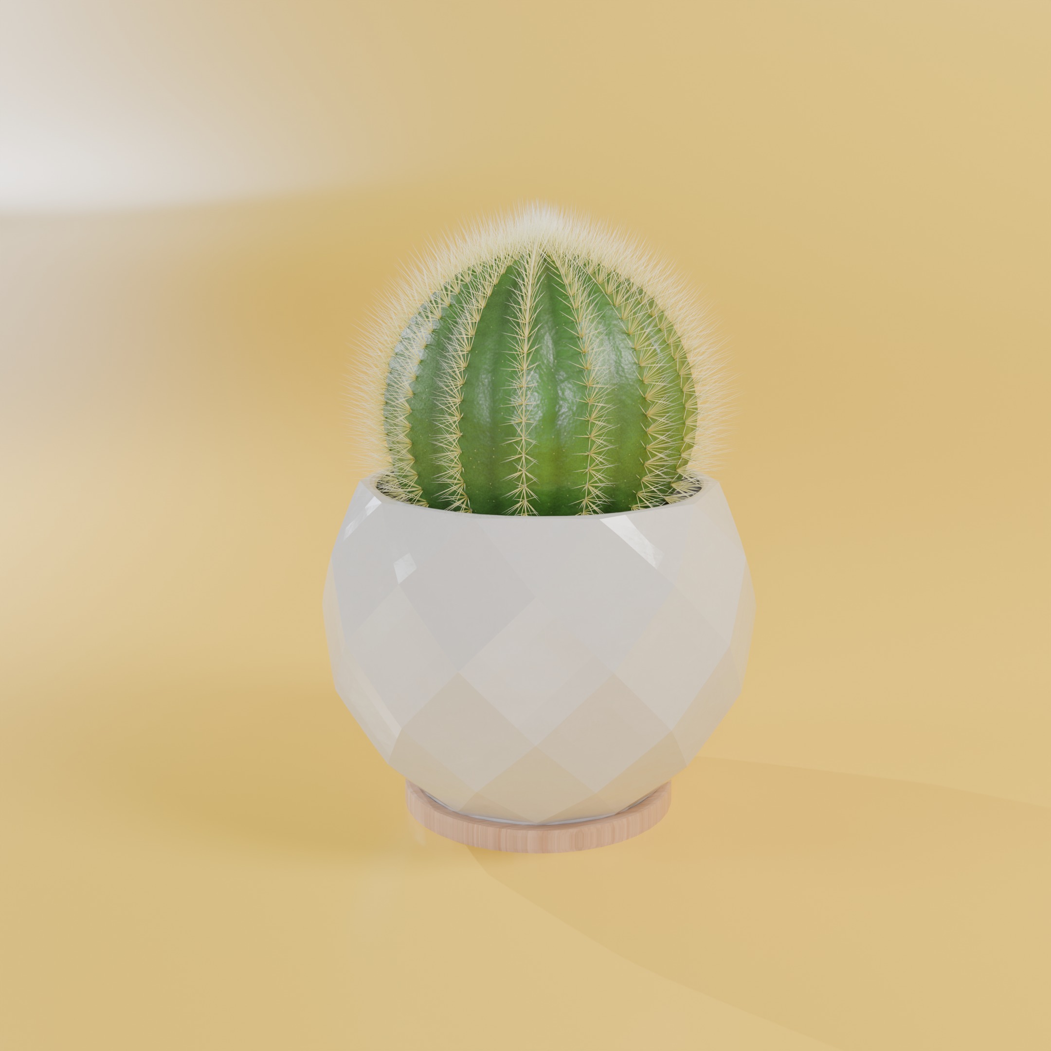 Cactus 3D model_3