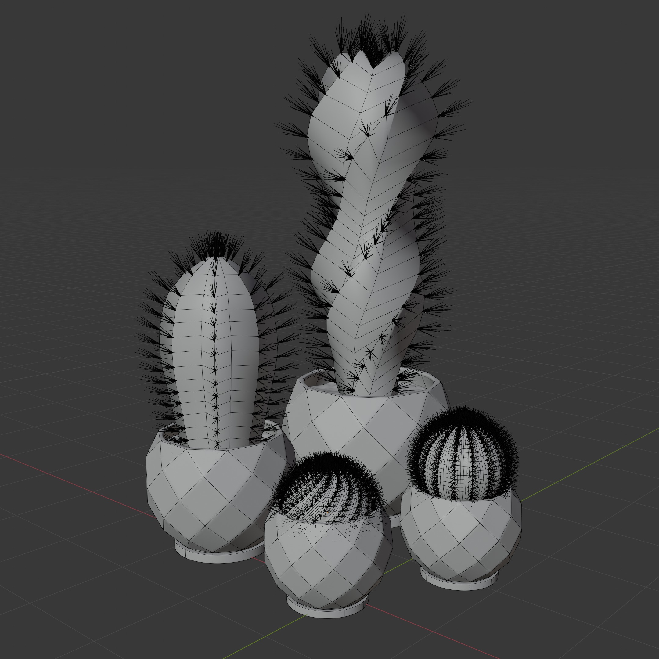 Cactus 3D model_6