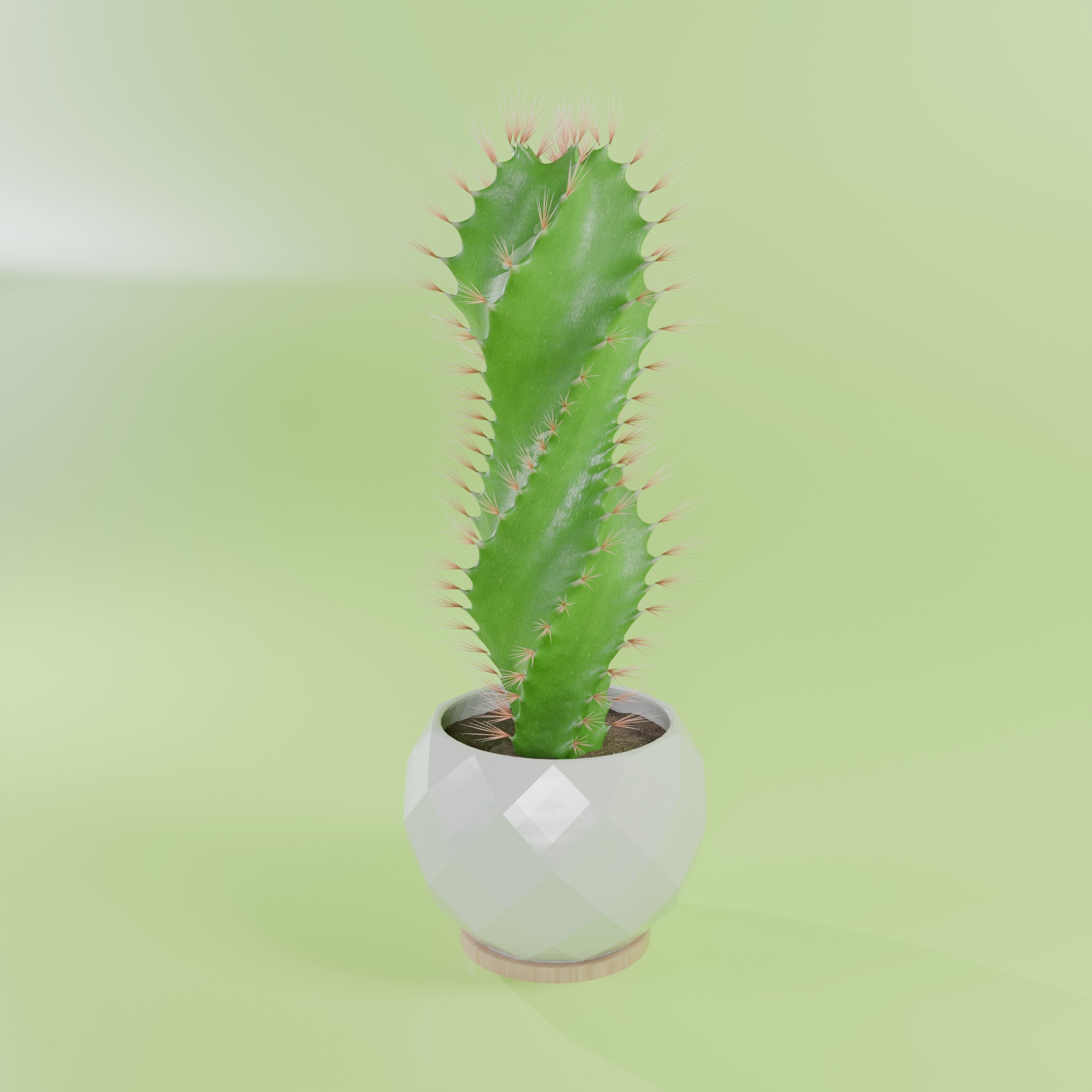 Cactus 3D model_2