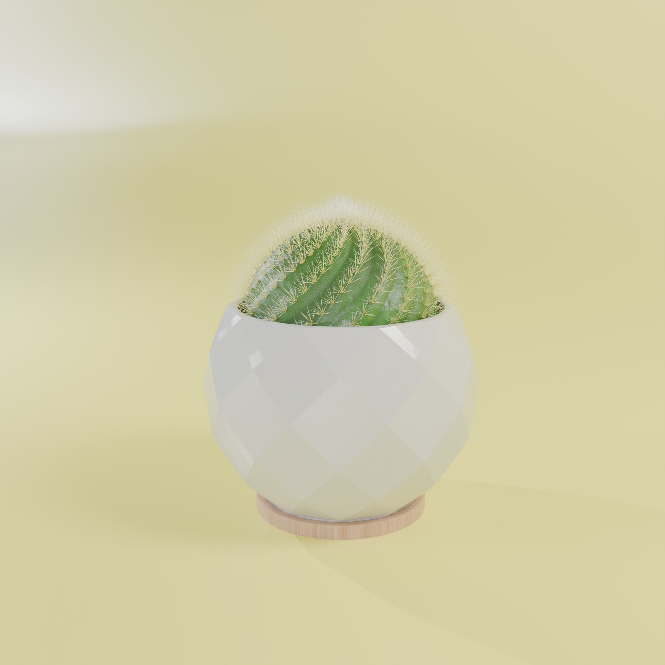 Cactus 3D model_4
