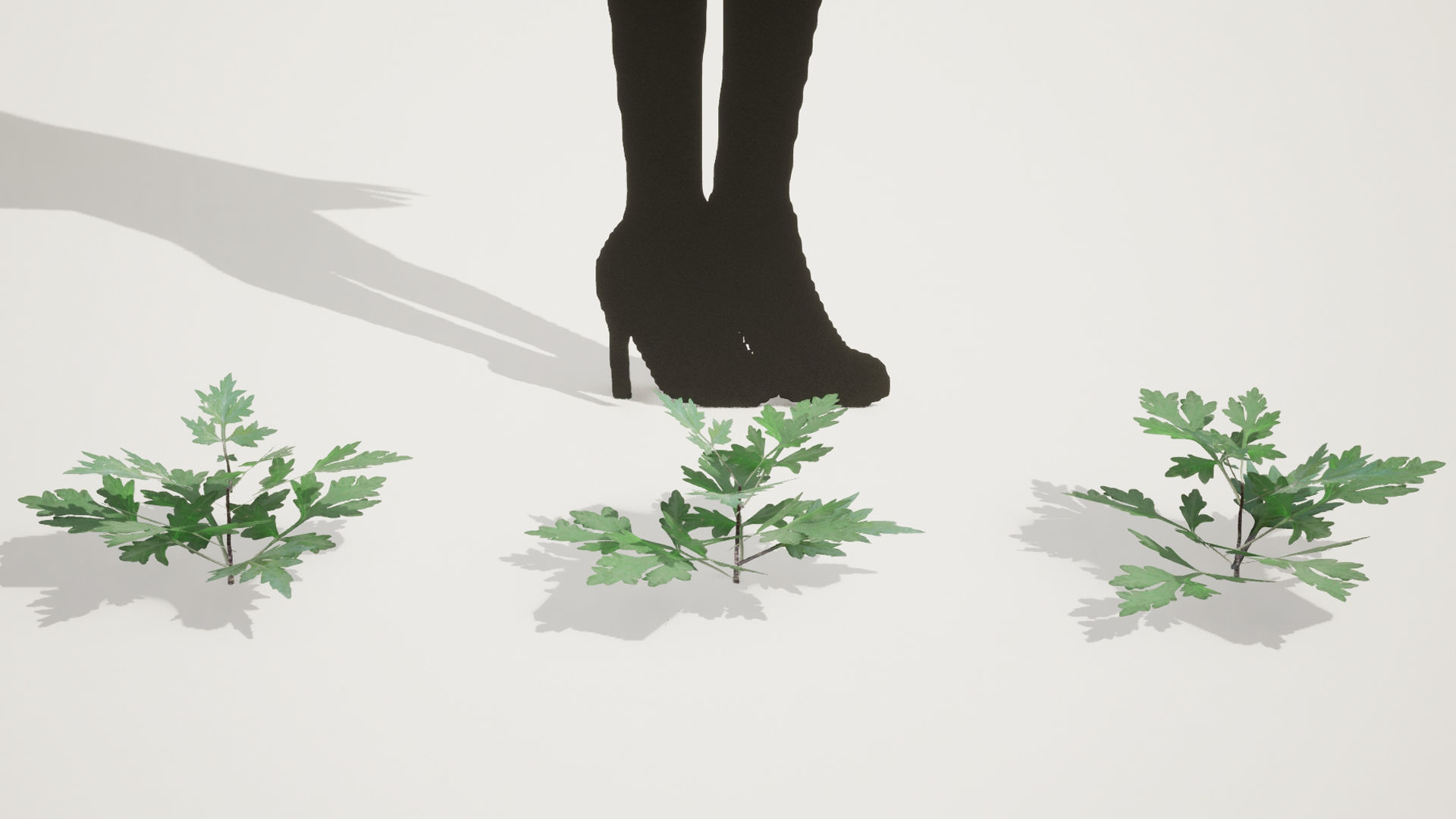 Korean Endemic Species Plant - 5 Korean Mugwort weeds Ssuk Bush Low-poly 3D model_3