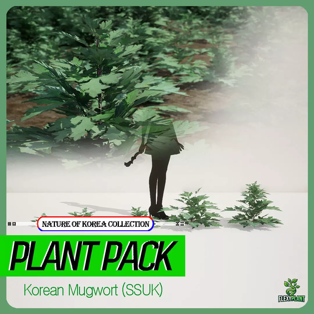 Korean Endemic Species Plant - 5 Korean Mugwort weeds Ssuk Bush Low-poly 3D model_0