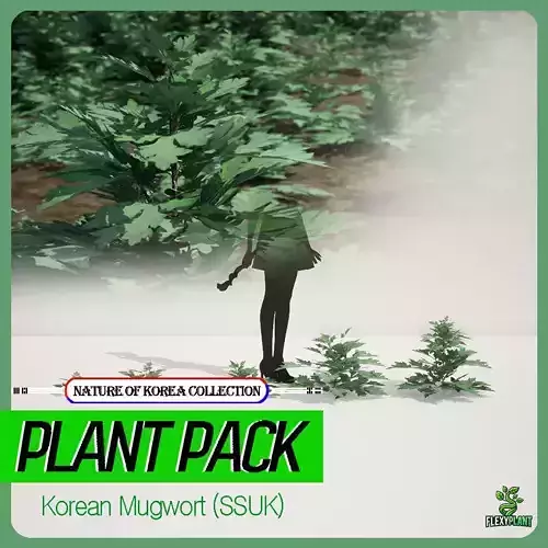 Korean Endemic Species Plant - 5 Korean Mugwort weeds Ssuk Bush Low-poly 3D model