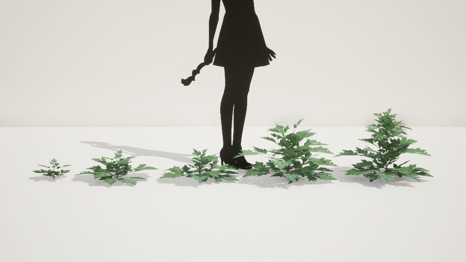 Korean Endemic Species Plant - 5 Korean Mugwort weeds Ssuk Bush Low-poly 3D model_2