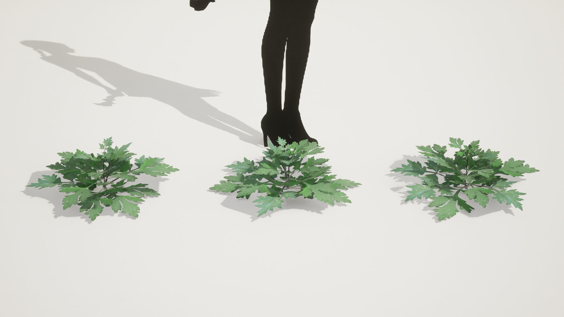 Korean Endemic Species Plant - 5 Korean Mugwort weeds Ssuk Bush Low-poly 3D model_4