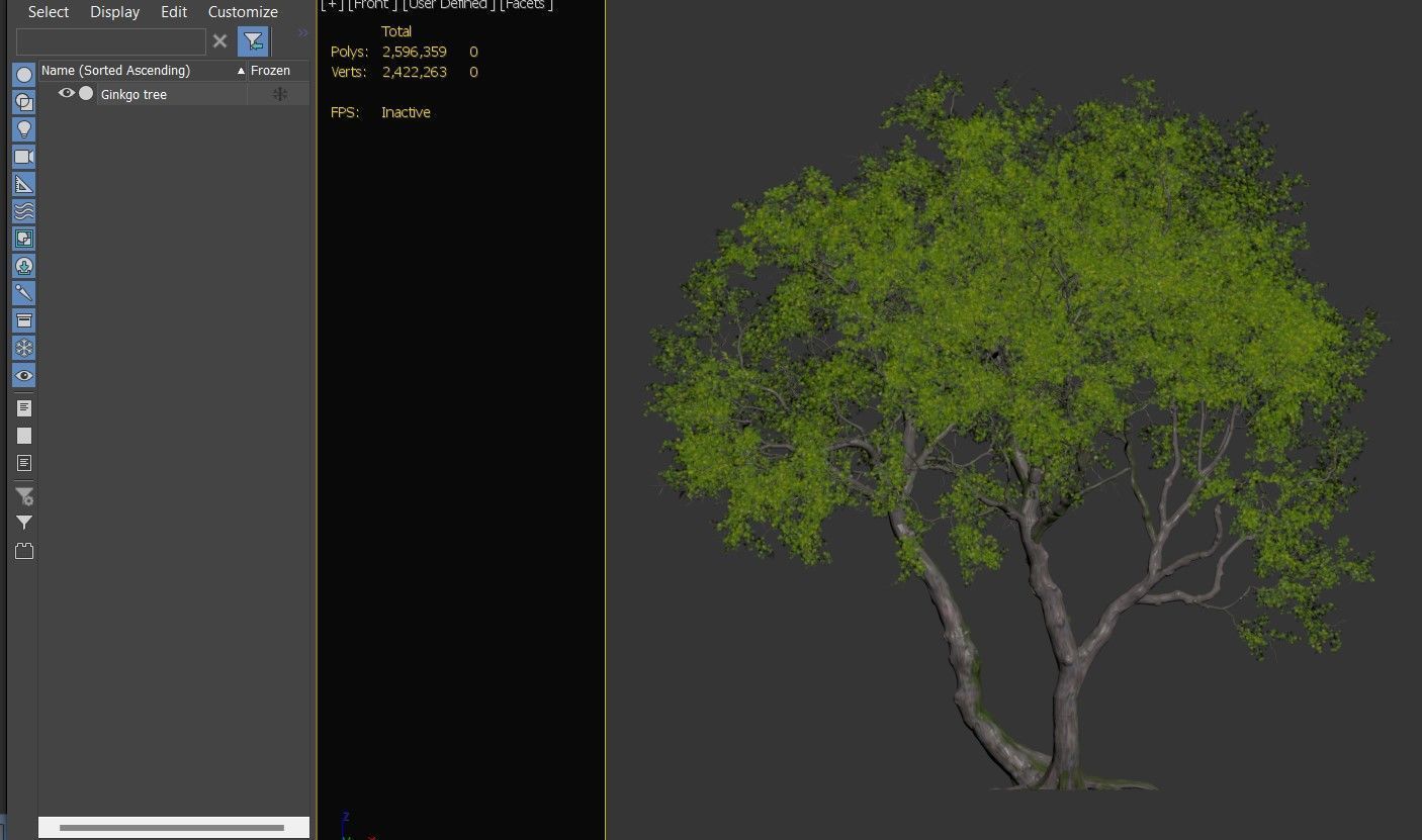 Ginkgo tree 3D model_5