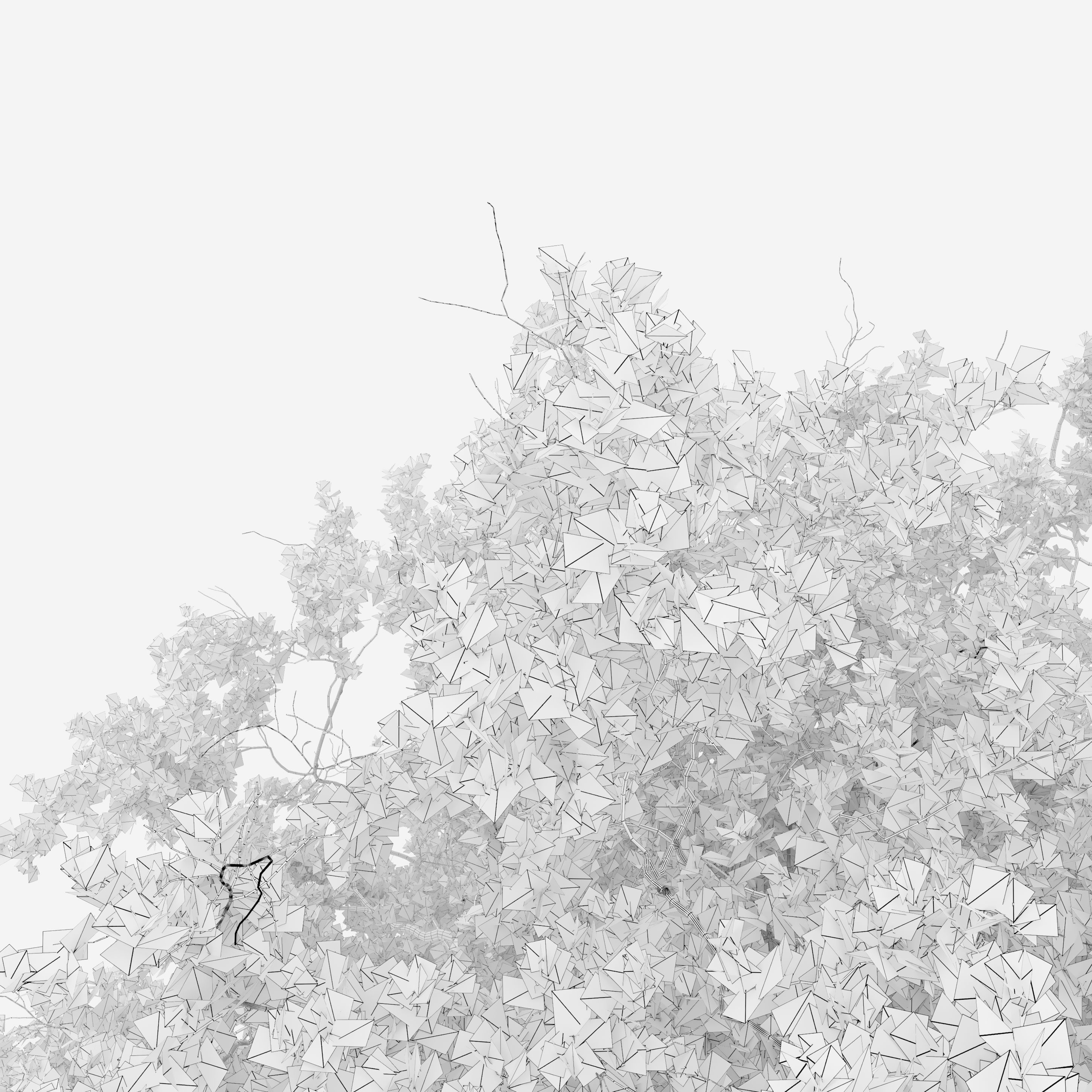 Ginkgo tree 3D model_4